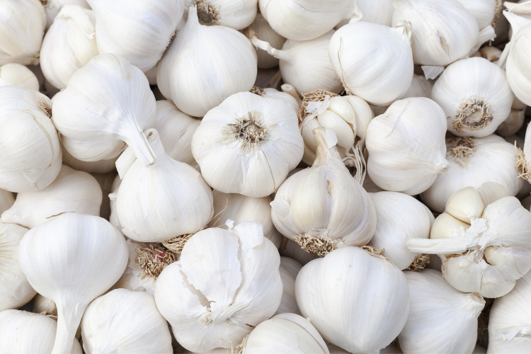 The Health Benefits of Garlic: Exploring Science and Tradition