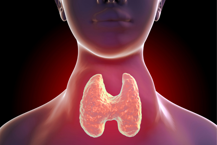 12 Thyroid Cancer Facts Everyone Should Know