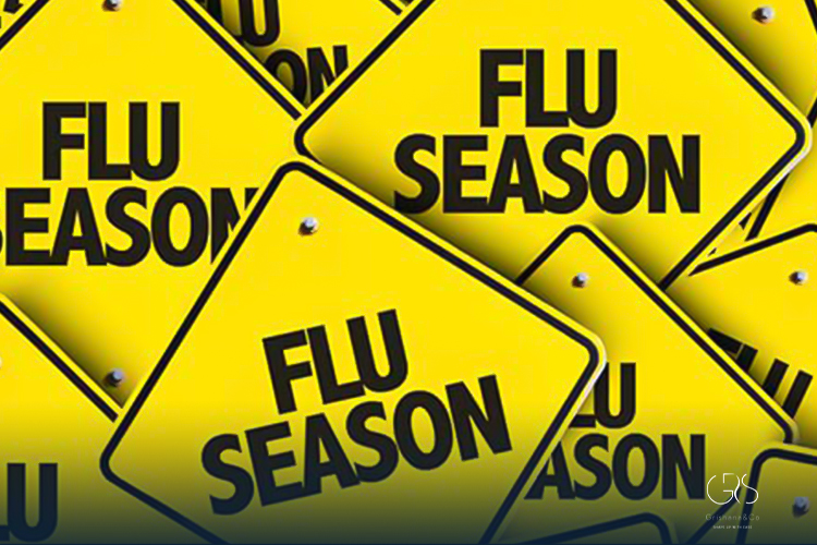 Flu Season Timeline