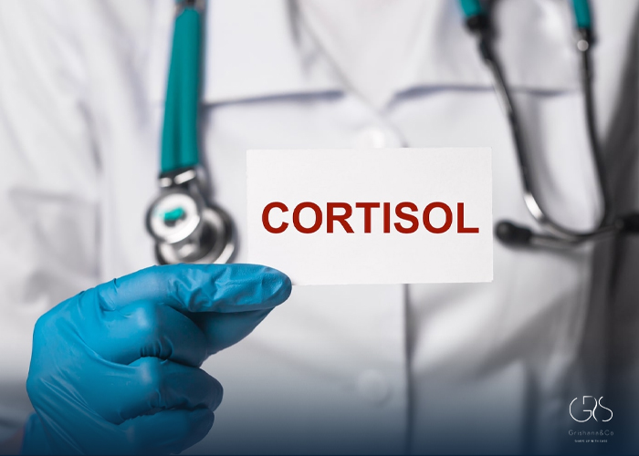 What Is Cortisol?