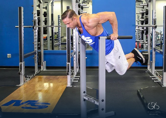 Chest Workout Exercises:Chest Dips