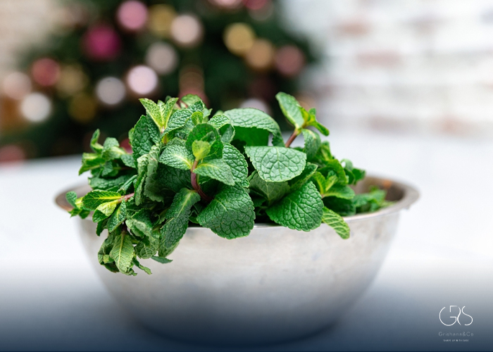 Health Benefits of Mint