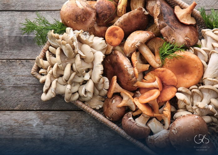 The Healthiest Types of Mushrooms for Your Well-being
