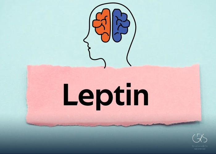 What Is Leptin Hormone?