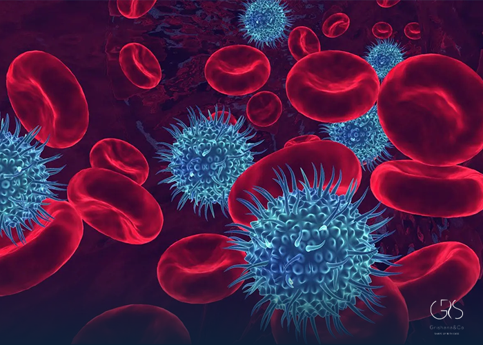Understanding HIV: A Brief Overview