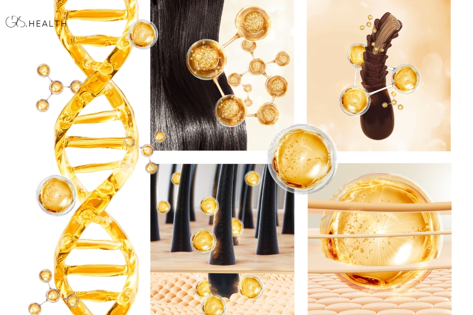 Fatty Acid Composition and Hair Penetration