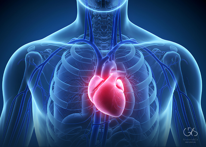 Fat Around Heart: Hidden Cardiac Risk