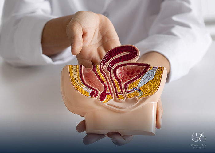 What Is a Prostate Biopsy? A Clear, Science-Based Guide